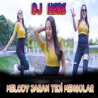 Kelud Music - Dj Here Melody Jaran Teji Mengular