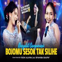 Download Lagu Ochi Alvira - Bojomu Sesok Tak Silihe Ft Syahiba Saufa Dangdut Campursari Version.mp3 Terbaru