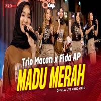 Download Lagu Trio Macan X Fida AP - Madu Merah.mp3 Terbaru