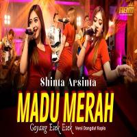 Download Lagu Shinta Arsinta - Madu Merah.mp3 Terbaru