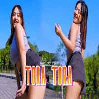 Download Lagu Kelud Music - Dj Tora Tora Dudidamdam Bass Turah Turah.mp3 Terbaru