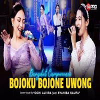 Download Lagu Ochi Alvira - Bojoku Bojone Uwong Ft Syahiba Saufa.mp3 Terbaru