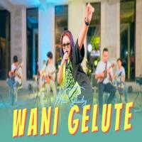 Download Lagu Niken Salindry - Wani Gelute.mp3 Terbaru