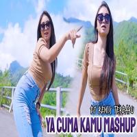 Download Lagu Kelud Music - Dj Remix Pargoy Terbaru Ya Cuma Kamu Mashup.mp3 Terbaru