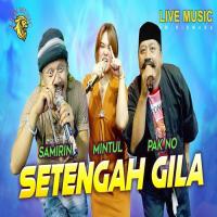 Download Lagu Woko Channel Pak No, Mintul, Samirin - Setengah Gila.mp3 Terbaru