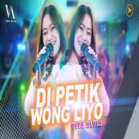 Download Lagu Vita Alvia - Dipetik Wong Liyo.mp3 Terbaru
