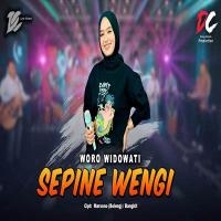 Download Lagu Woro Widowati - Sepine Wengi DC Musik.mp3 Terbaru