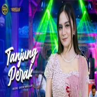 Download Lagu Irenne Ghea - Tanjung Perak Ft Om Adella.mp3 Terbaru