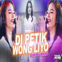 Download Lagu Dini Kurnia - Dipetik Wong Liyo.mp3 Terbaru