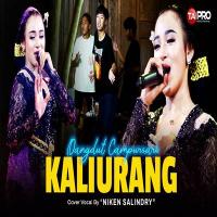 Download Lagu Niken Salindry - Kaliurang Aaahh Mantap.mp3 Terbaru