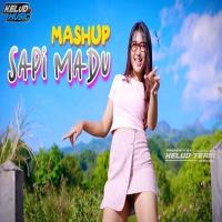 Download Lagu Kelud Music - Dj Karnaval New Sapi Madu.mp3 Terbaru