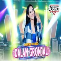 Download Lagu Lala Widy - Dalan Gronjal Ft Ageng Music.mp3 Terbaru
