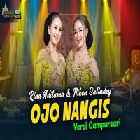 Download Lagu Niken Salindry - Ojo Nangis Feat Rina Aditama Versi Campursari.mp3 Terbaru