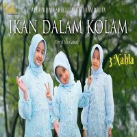 Download Lagu 3 Nahla - Ikan Dalam Kolam (Versi Sholawat Allahumma Sholli Alamuhammadin).mp3 Terbaru